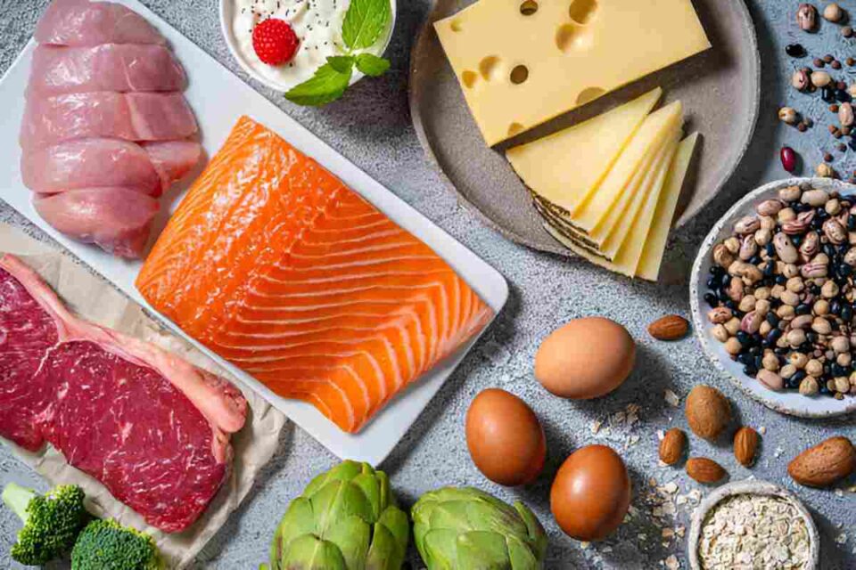 Bodybuilding Ingredients