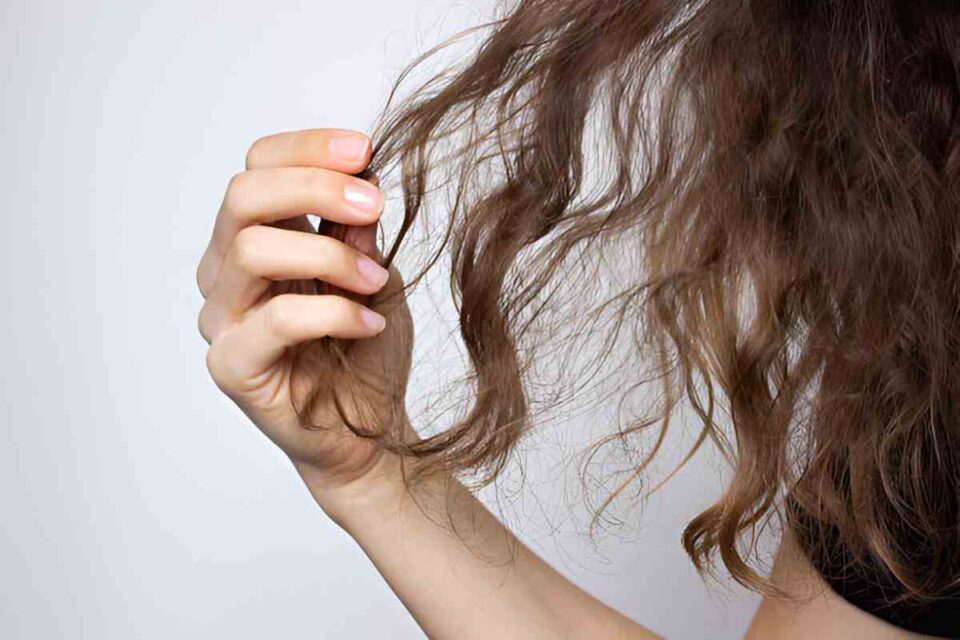 Dry Hair