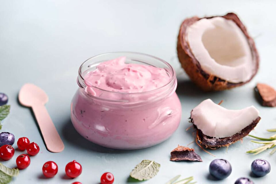 Vegan Ice Creams