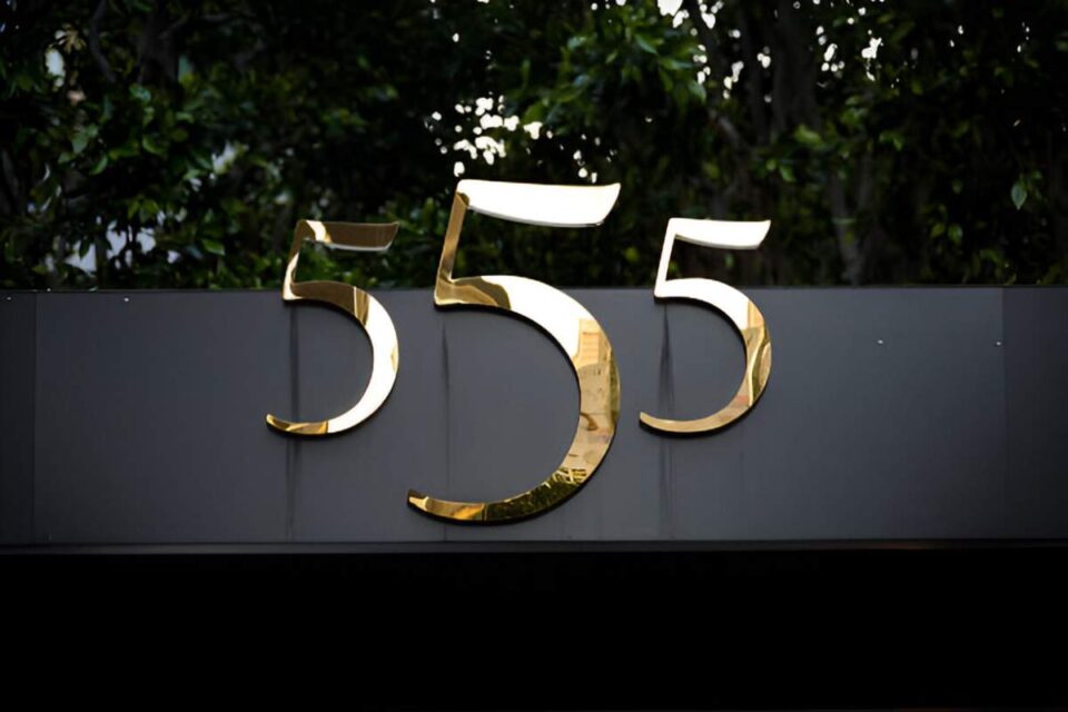 AngelNumber 555