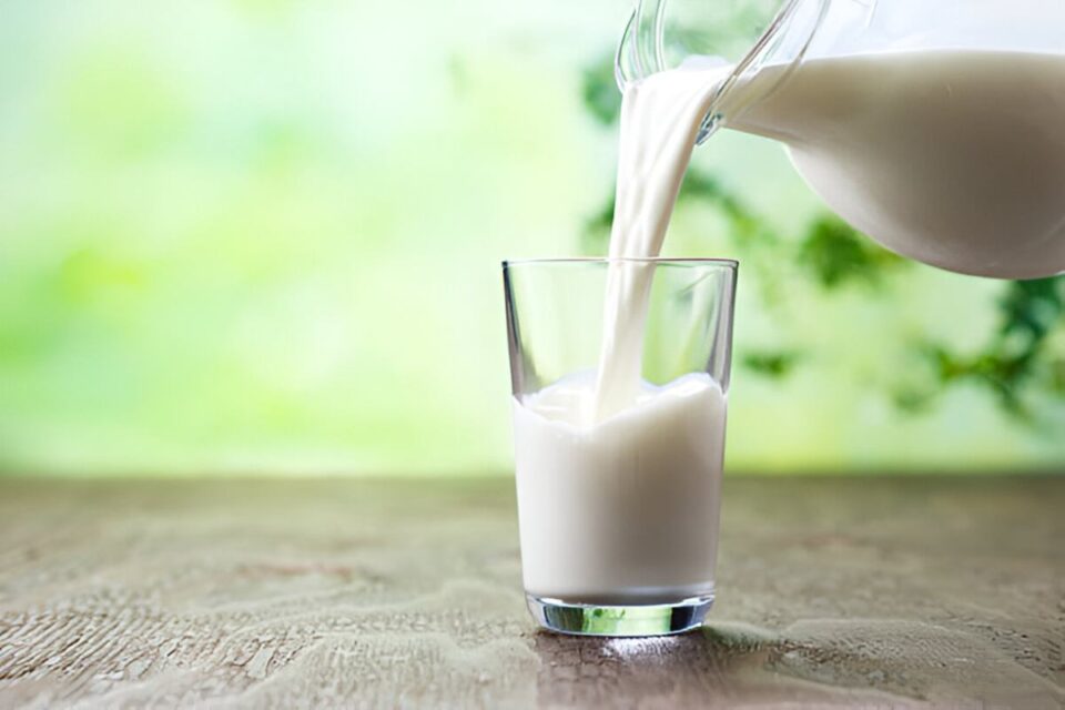 Buffalo Milk