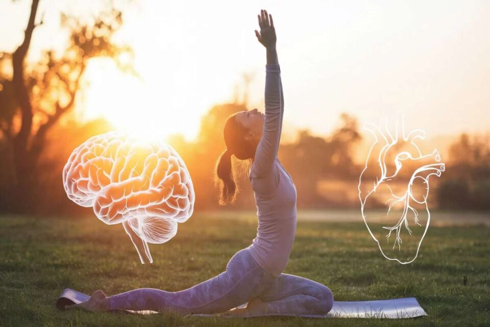 How Mental Health Therapy Improves Physical Wellness