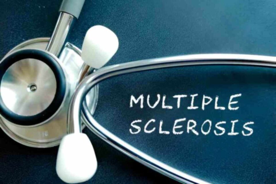 multiple sclerosis and more